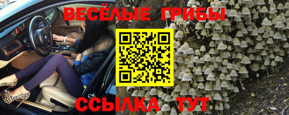 Меф   ГАШИШ  Конопля  Марихуана  ГАШИШ  Кизляр  Вход с VPN 