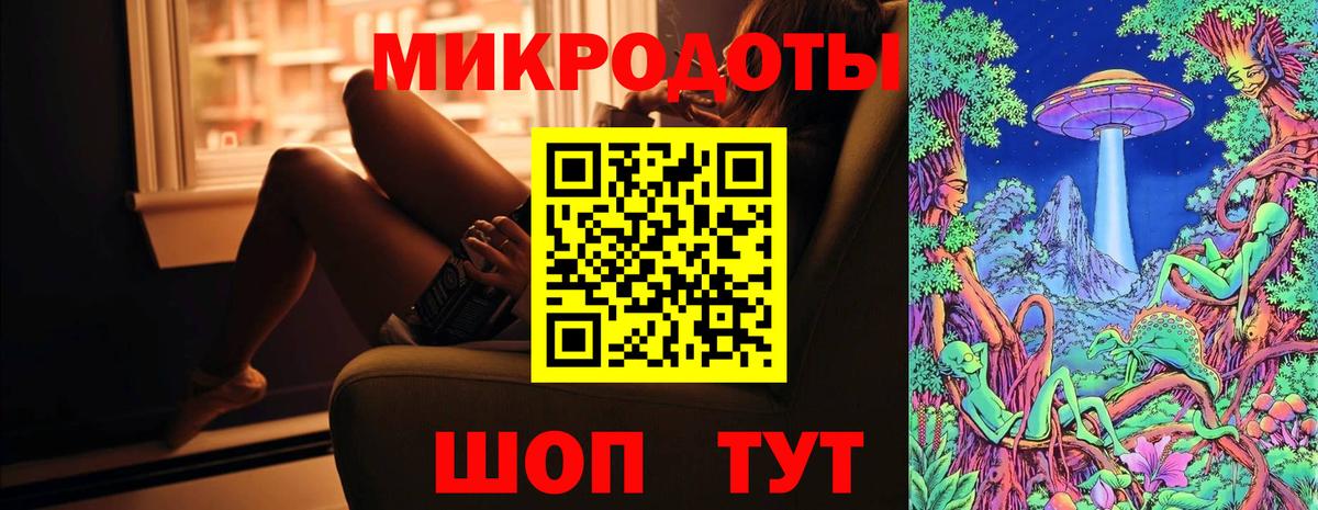 Псилоцибиновые грибы Cubensis Кизляр