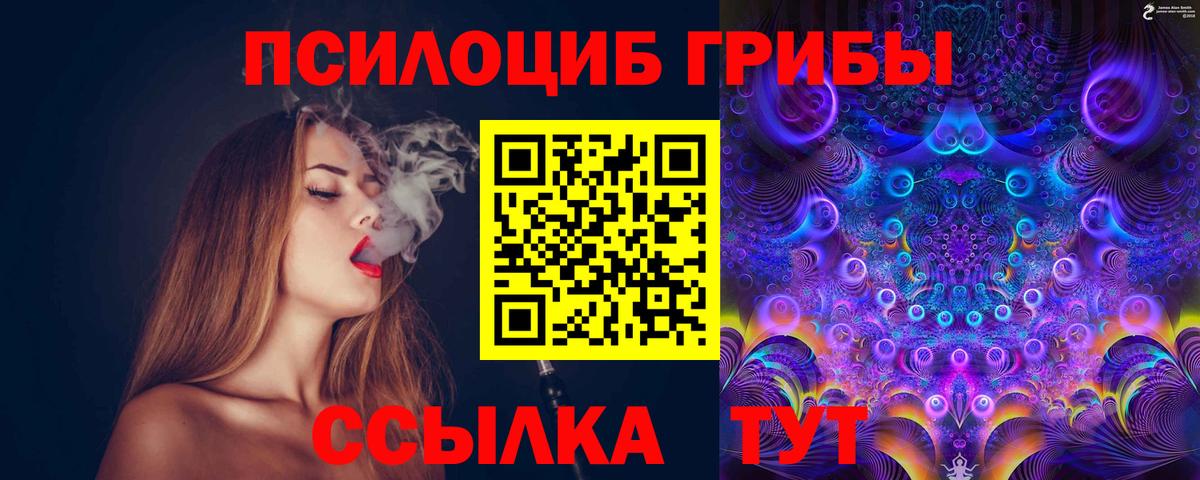 Псилоцибиновые грибы GOLDEN TEACHER  купить наркотики сайты  Кизляр  Вход с VPN 