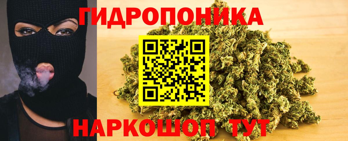 МАРИХУАНА план Кизляр